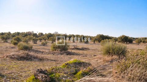 Photo 4 of Residential for sale in Torrecastillo, Seseña