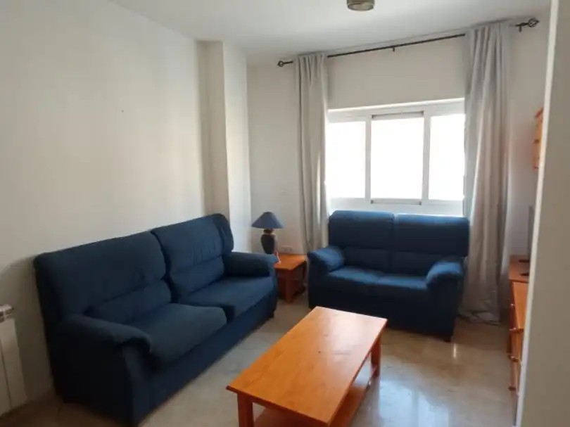 Sala d'estar de Pis de lloguer en Granada amb Terrassa