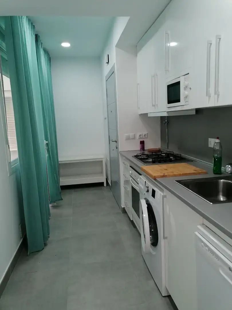 Kitchen of Apartments for rent in Algeciras  with Furnished