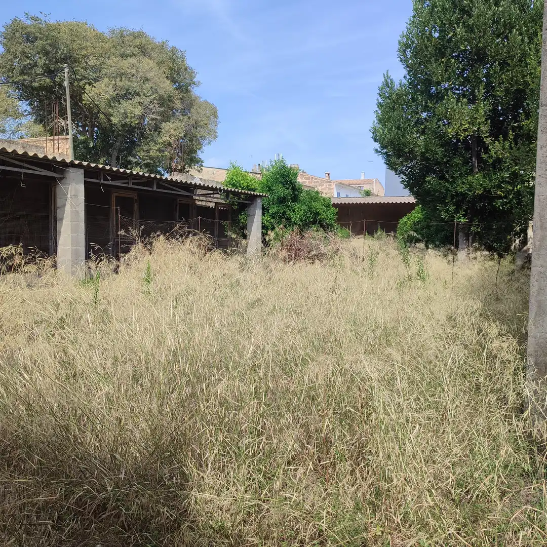 Terreny residencial en venda a Carrer de Bonany 8, imagen 9