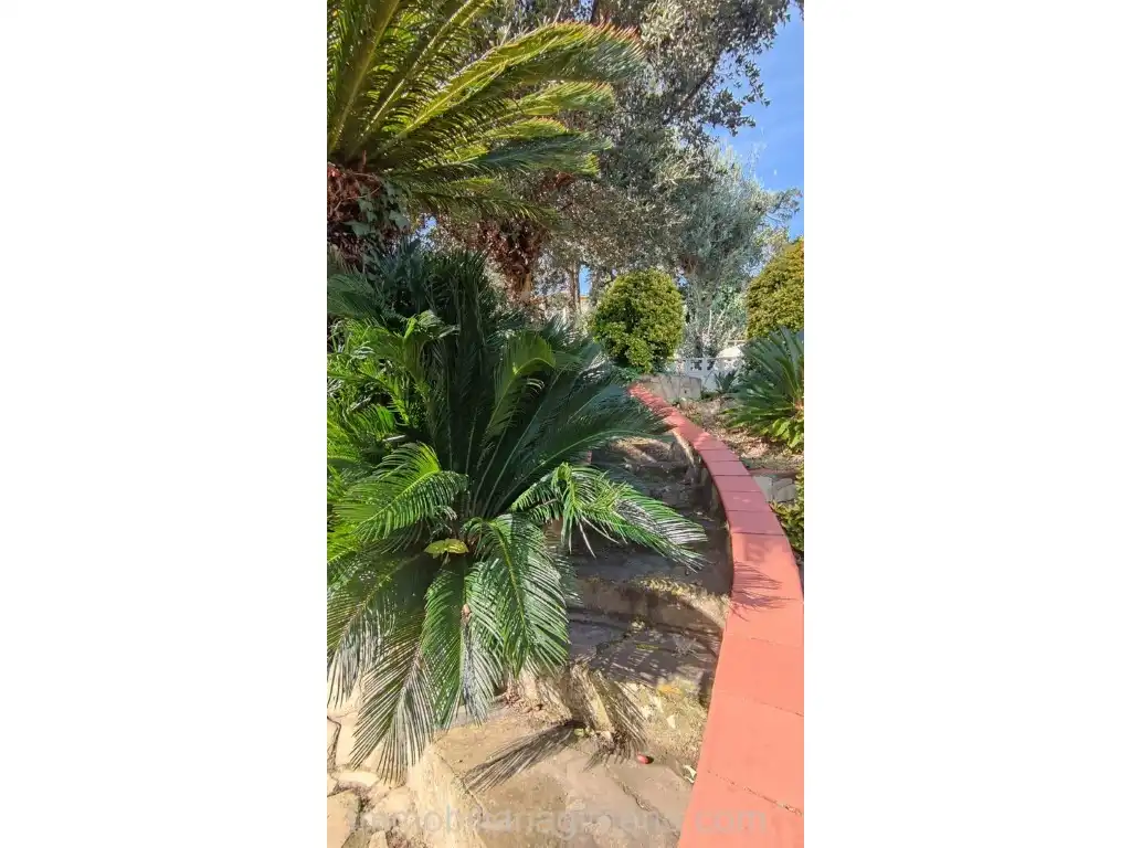 Jardí de Casa o xalet en venda en Lloret de Mar amb Terrassa i Piscina