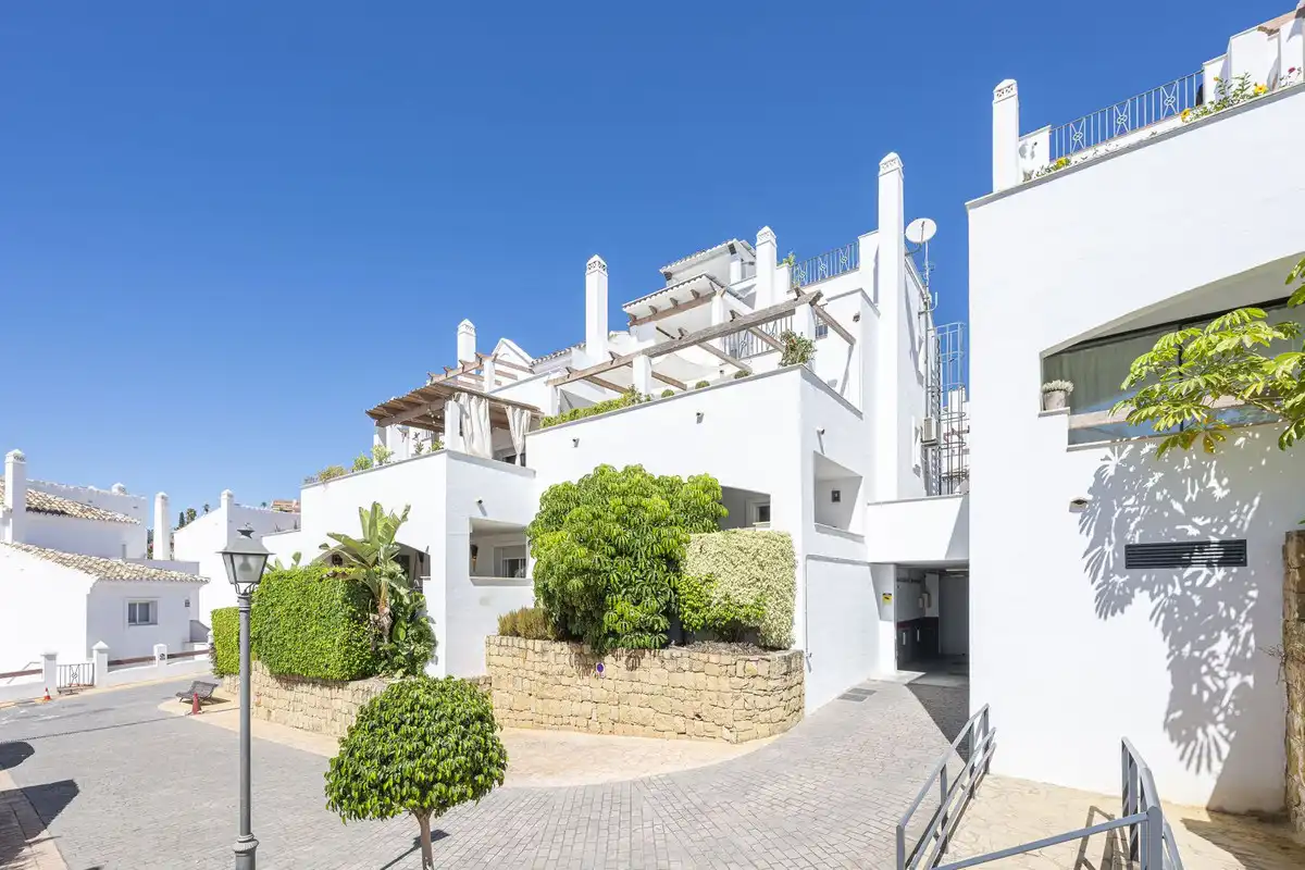 Vista exterior de Planta baixa de lloguer en Nueva Andalucía