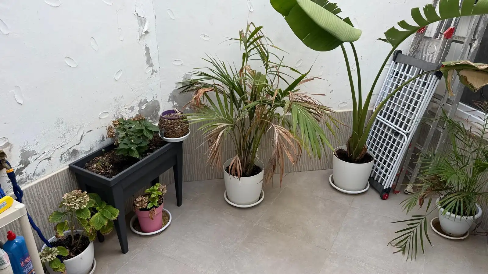 Terraced house with balcony to rent in Cerro de las Viñas 10, imagen 12