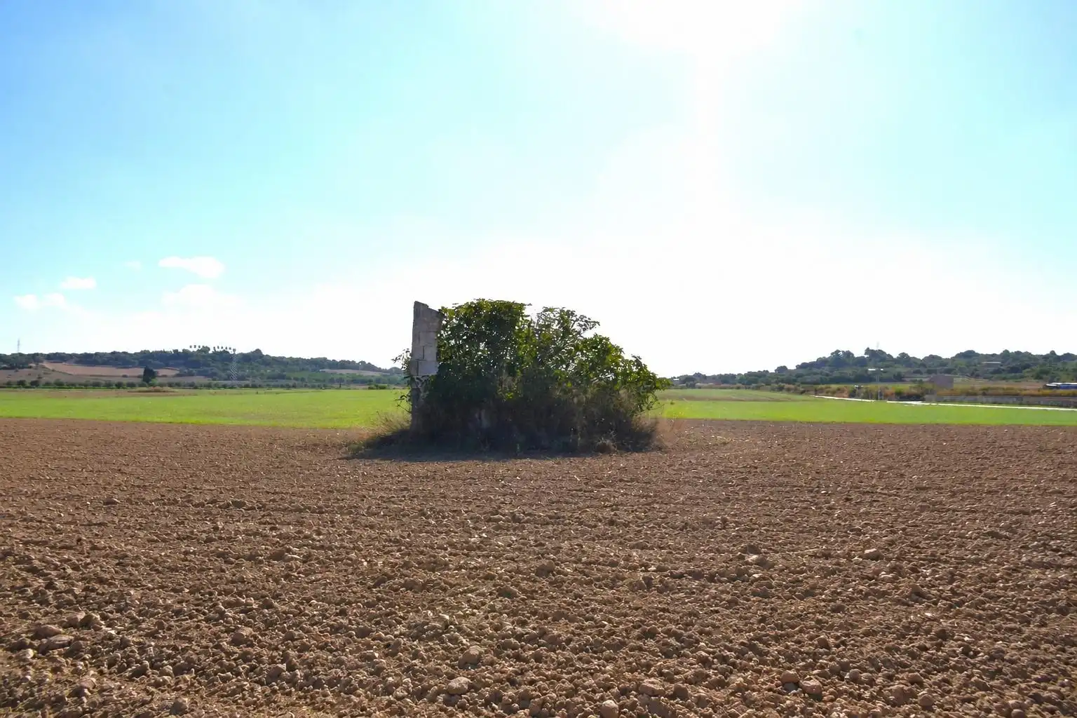 Rural land for sale in Muro, imagen 6