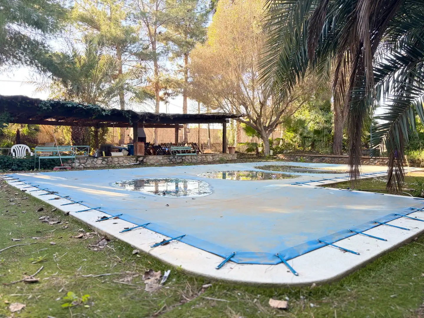 Lands and plots for sale in Abanilla, imagen 33