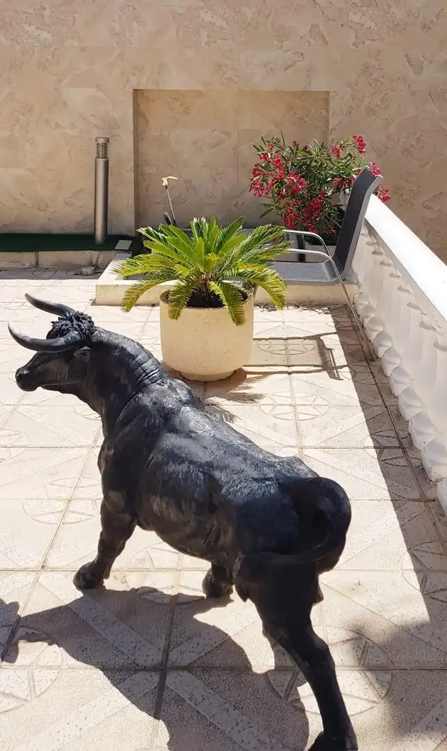 Detached house with pool for sale in Rojales, imagen 3