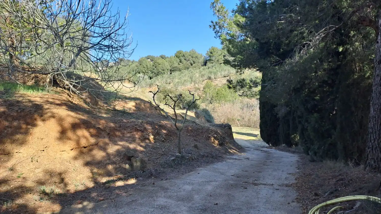 Finca rústica en venda en Castellvell del Camp