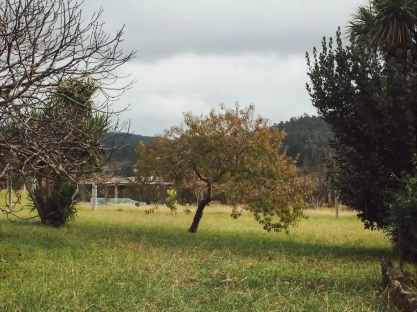 Local de alquiler en Meaño, Pontevedra