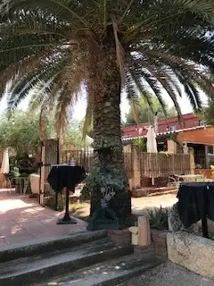 Gewerbefläche zum Verkauf in Roda de Barà, imagen 7