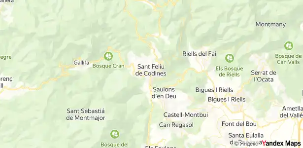 Piso en venta en Sant Feliu de Codines