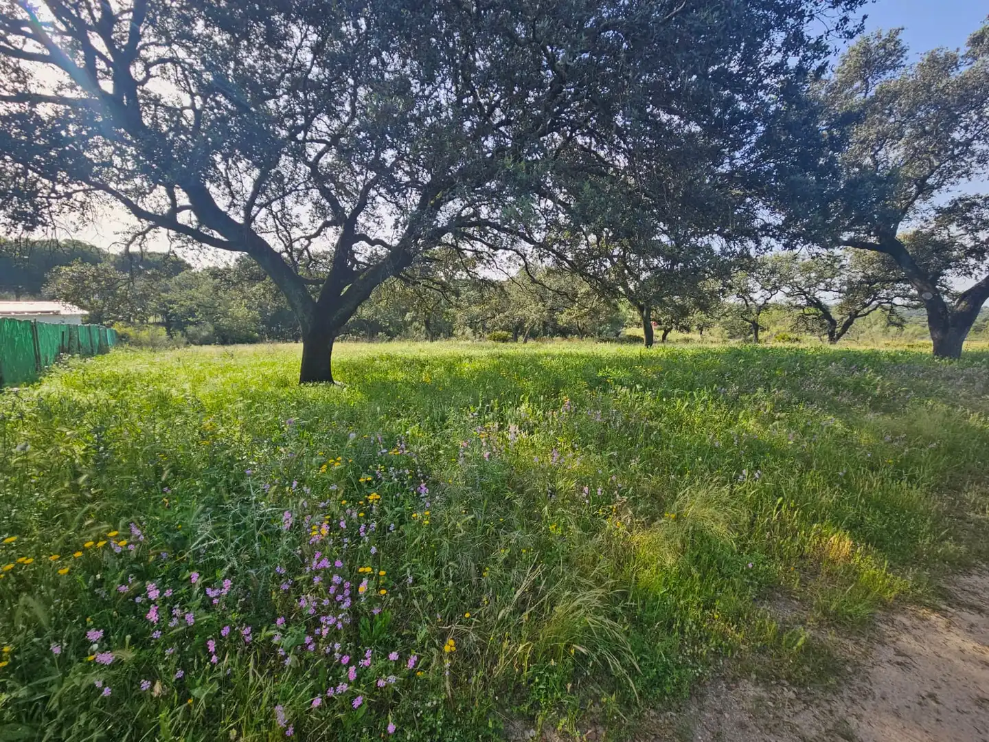 Terreno rustico in vendita a Castilblanco de los Arroyos, imagen 2