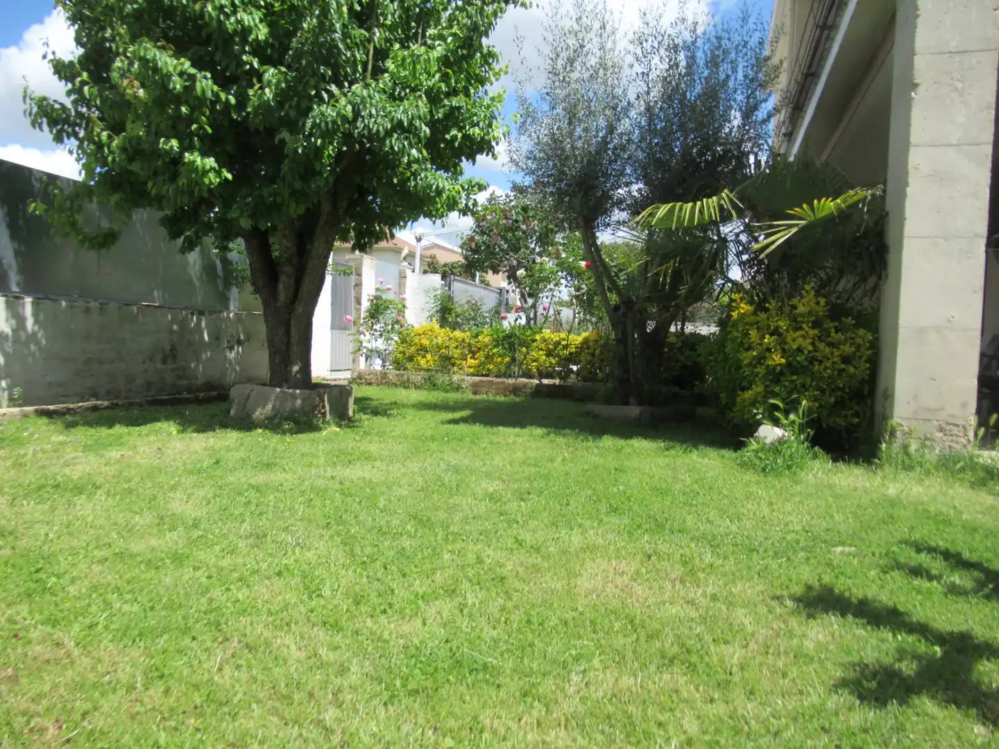 Jardín de Casa o chalet en venta en Camarma de Esteruelas con Calefacción, Jardín privado y Terraza