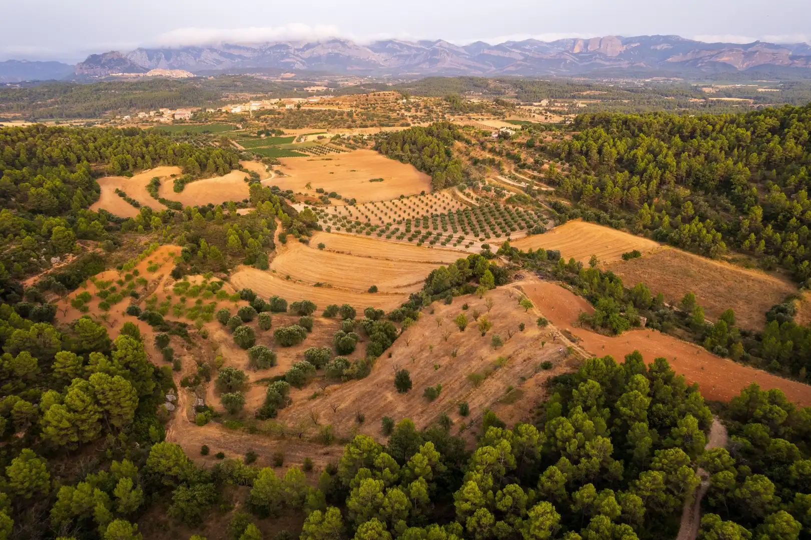 Rural land for sale in Lledó, imagen 9