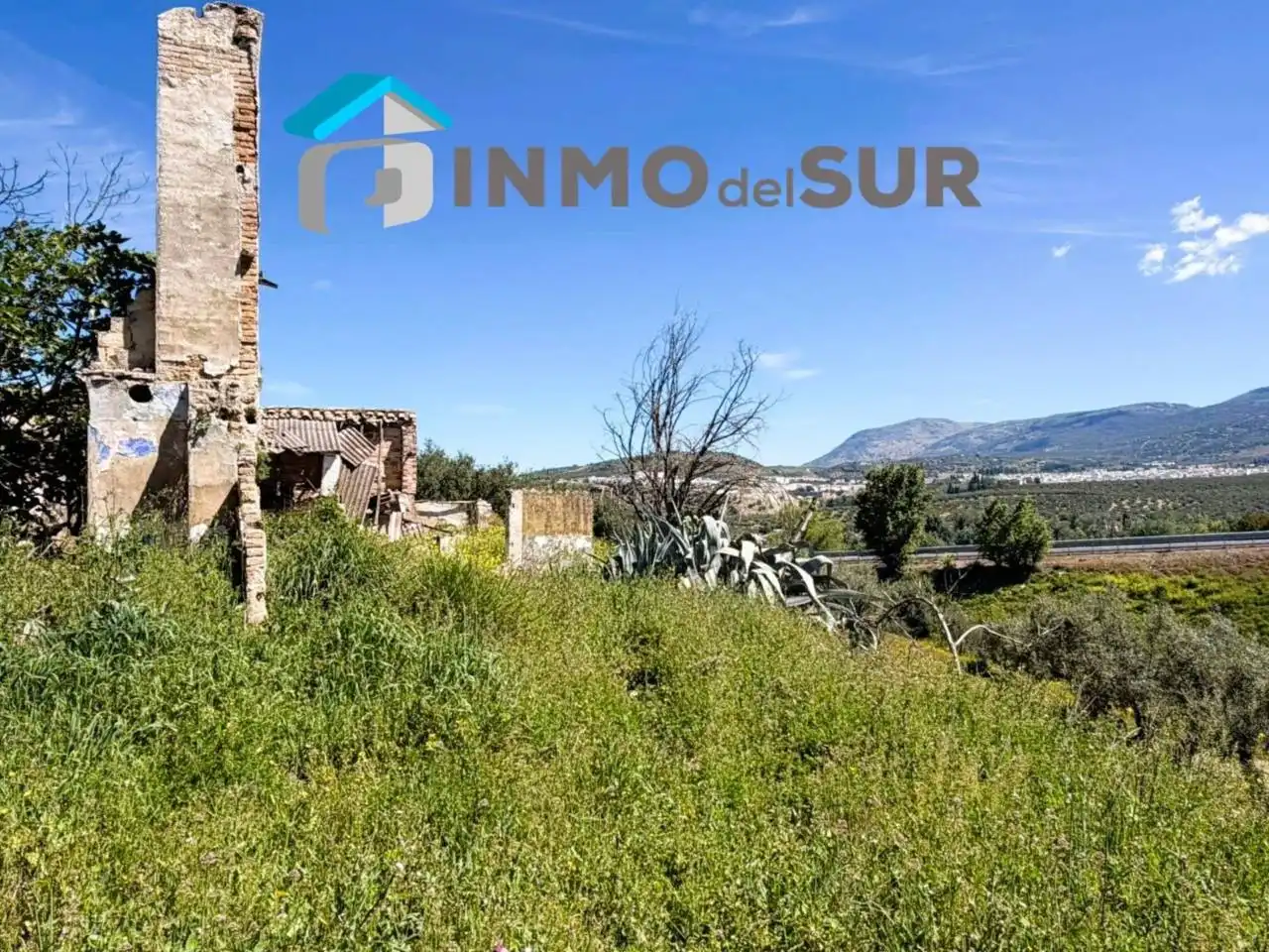 Terreno rustico in vendita a Carretera Lucena-Doña Mencía, imagen 4