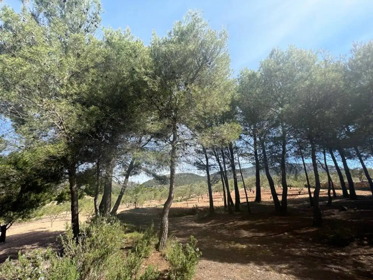 Chalet con jardín en venta en Calle Poligono, imagen 115