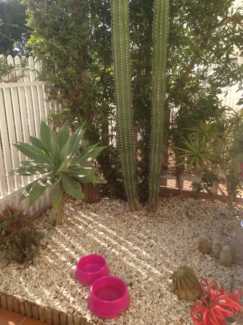 Jardí de Casa adosada en venda en Vera amb Aire condicionat, Calefacció i Jardí privat