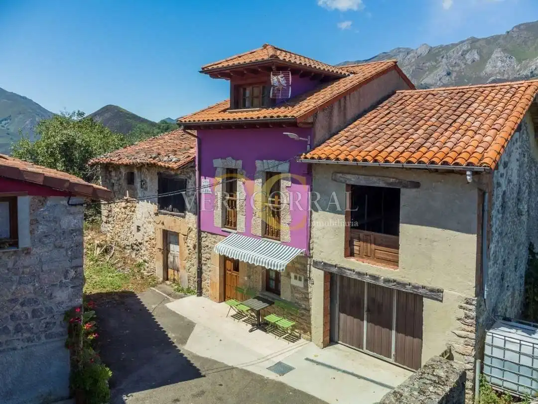 Vista exterior de Casa adosada en venda en Peñamellera Alta amb Calefacció