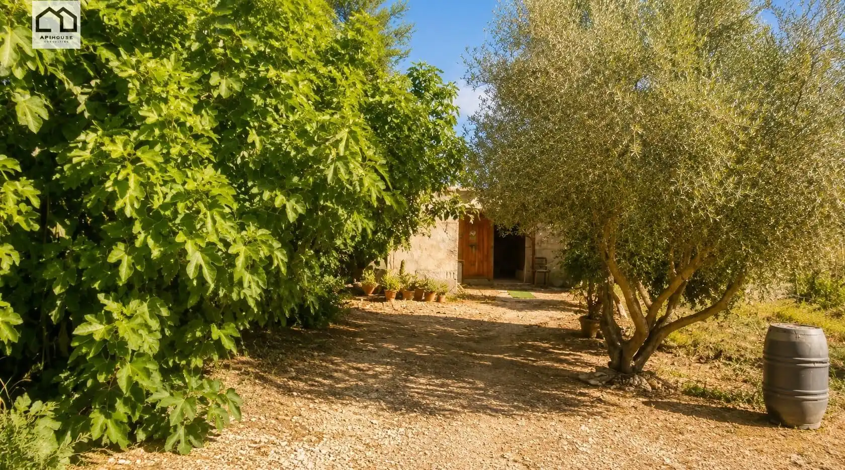 Casa rústica en venda a Dolores, imagen 8