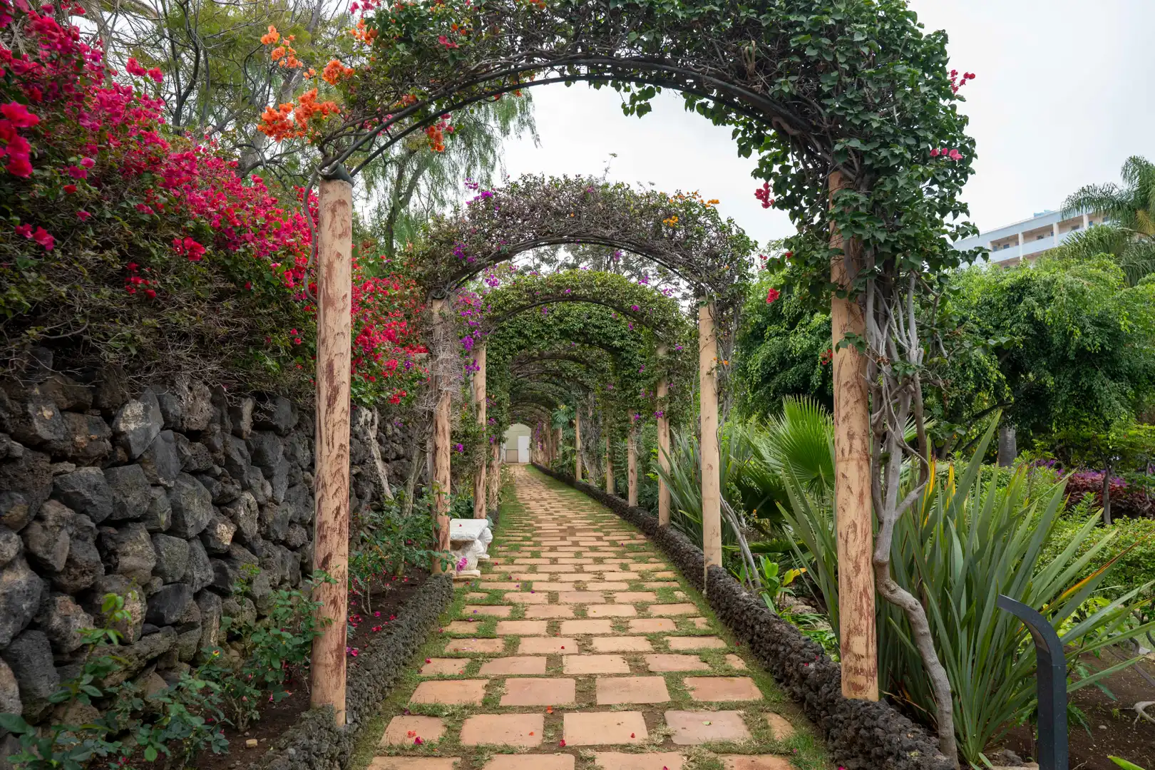 Garten von Wohnung zum Verkauf in Los Realejos mit Möbliert, Balkon und Gemeinschaftspool