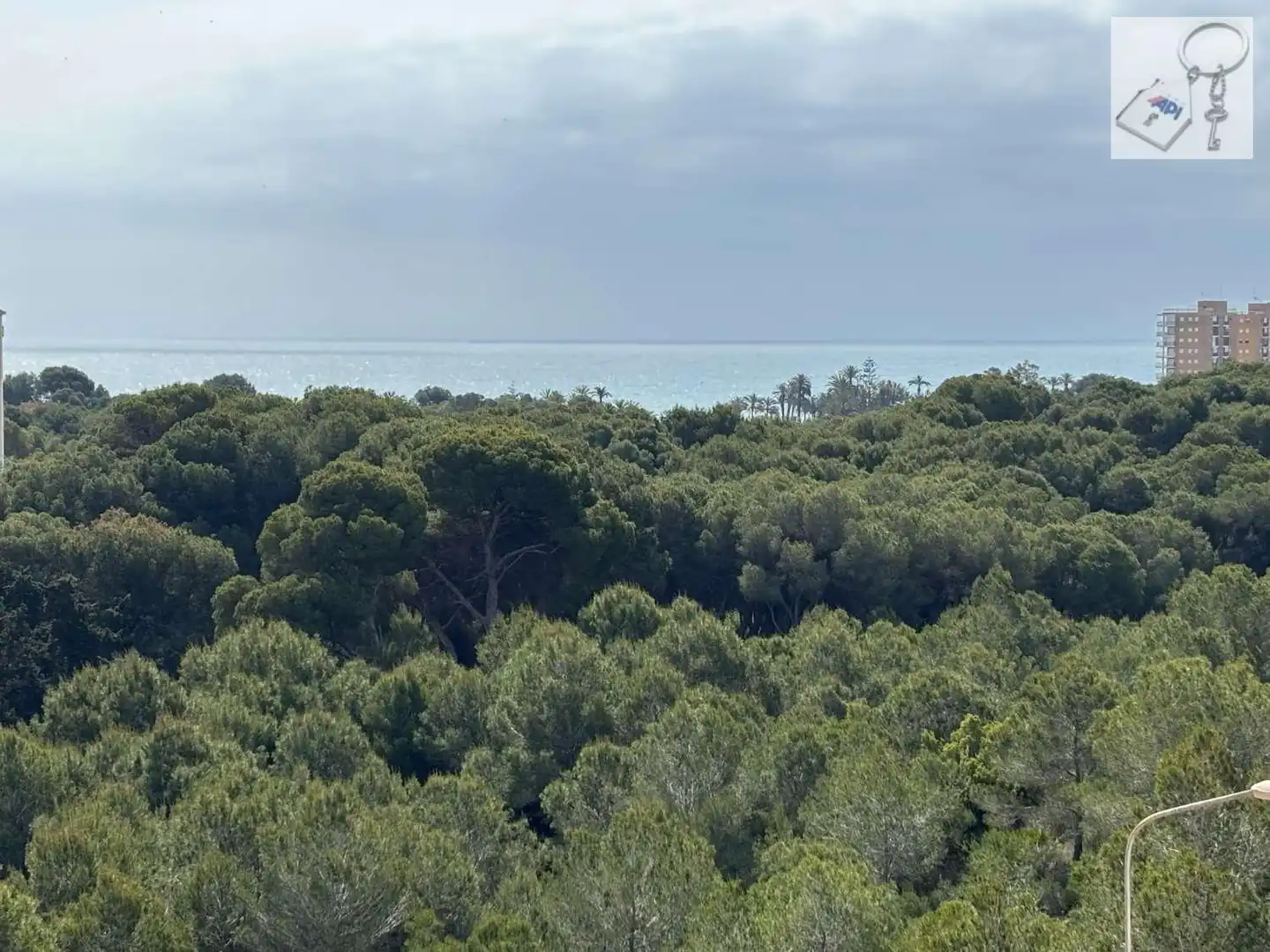Dúplex en venda en Orihuela amb Terrassa i Piscina