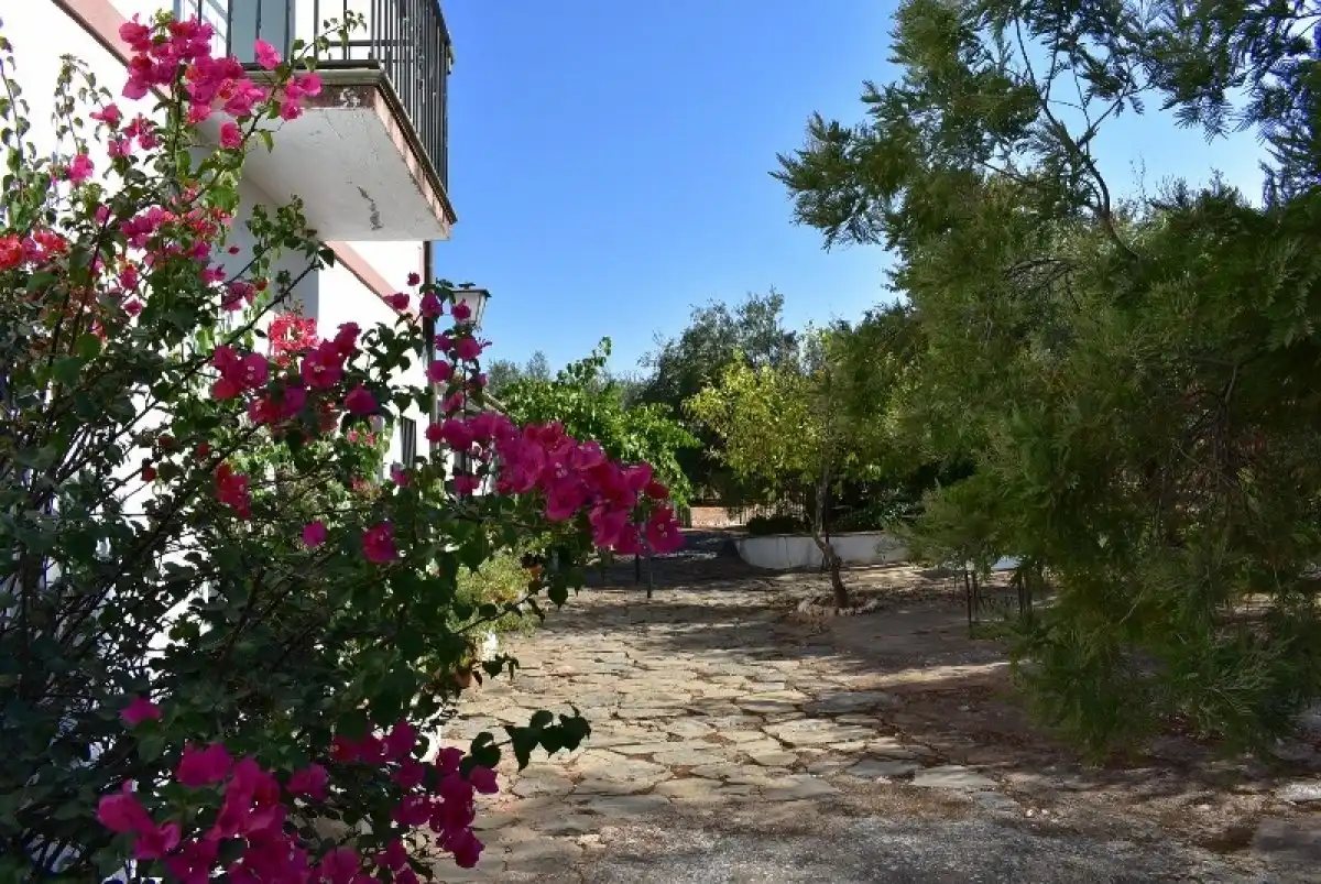 Garten von Country house zum Verkauf in Montoro mit Heizung, Möbliert und Alarm
