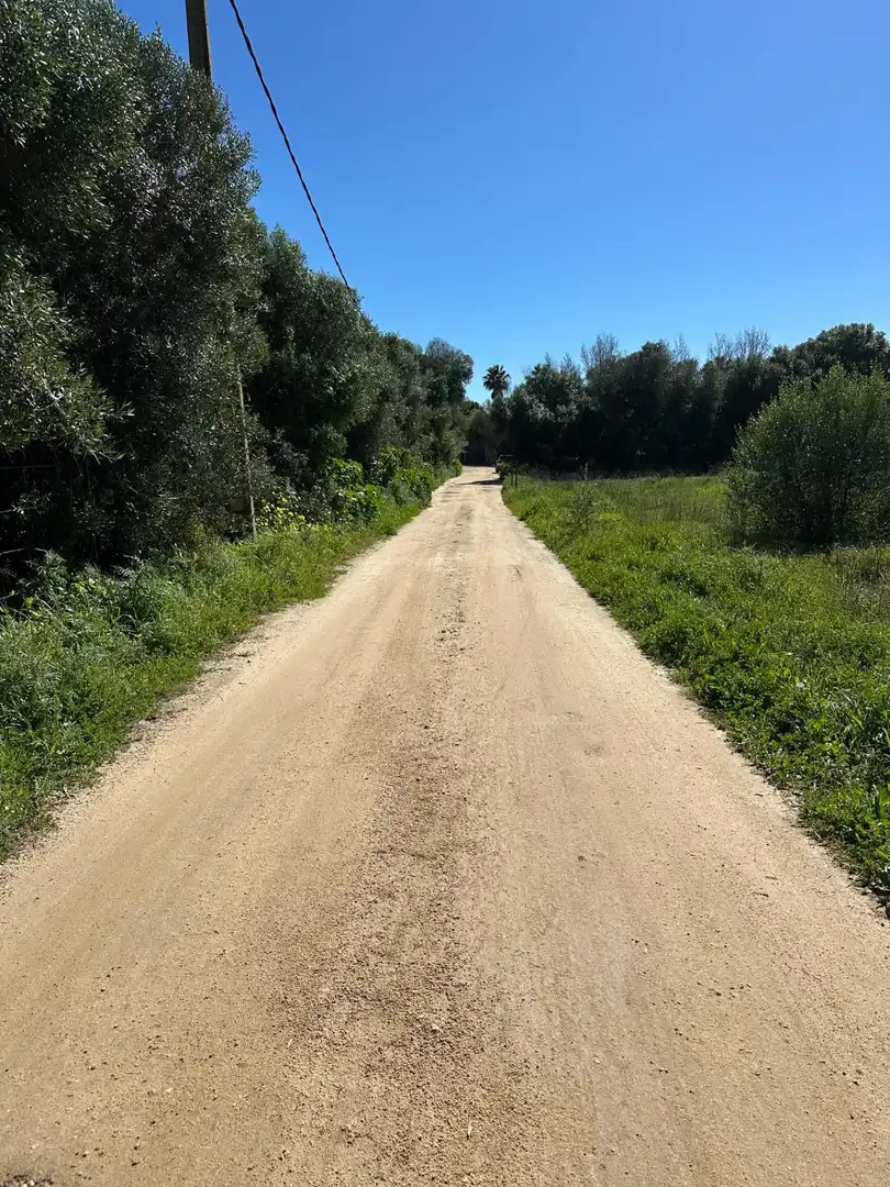 Terreni e lotti in vendita a El Palmar, imagen 6