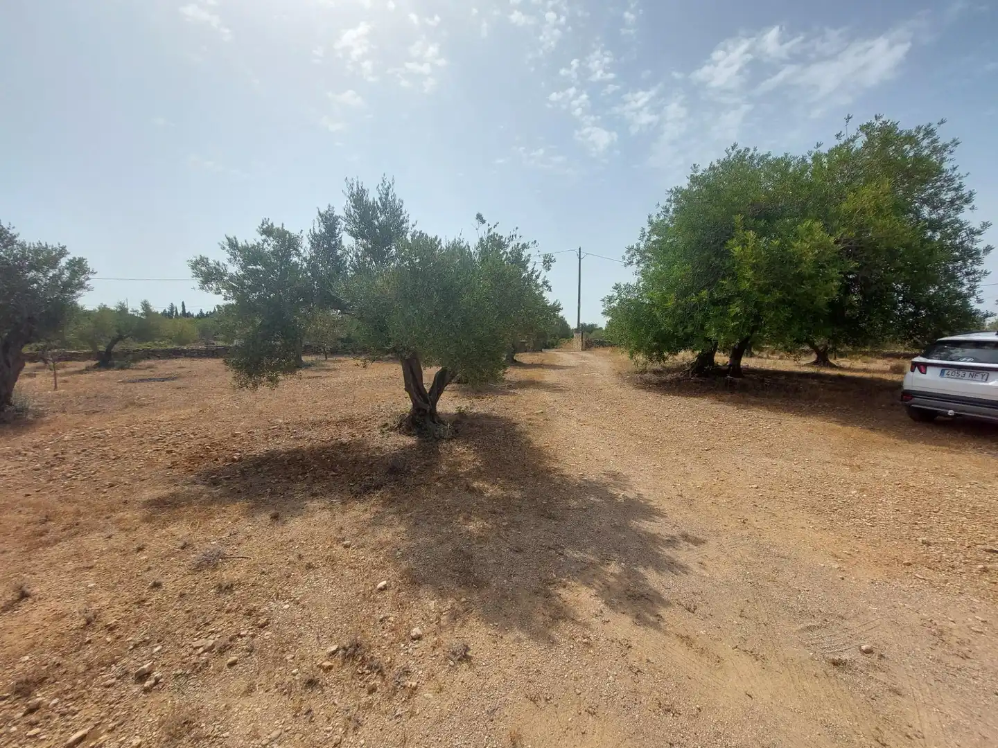 Finca rústica en venda en L'Ametlla de Mar  amb Terrassa i Moblat