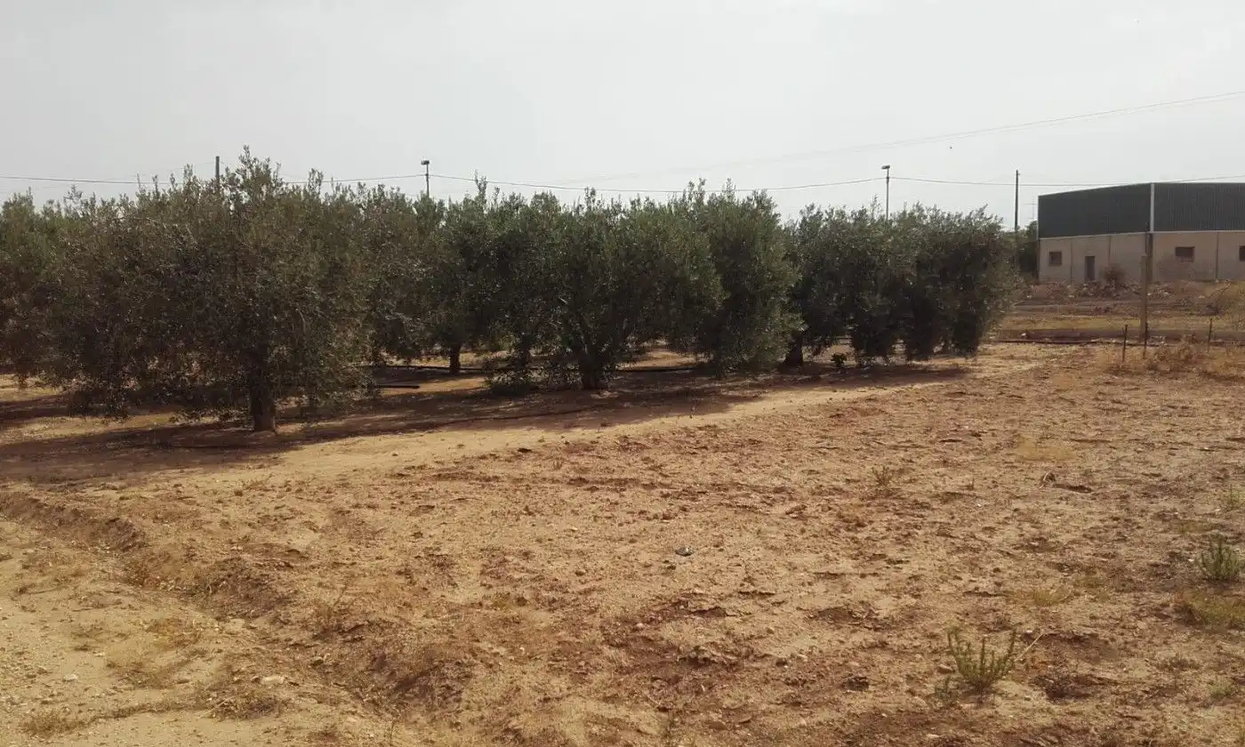 Planta baixa en venda en Fuente Álamo de Murcia amb Traster i Moblat