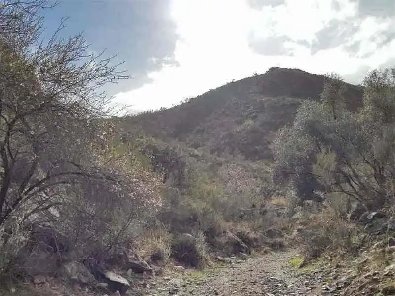 Außenansicht von Grundstücke zum Verkauf in Albánchez