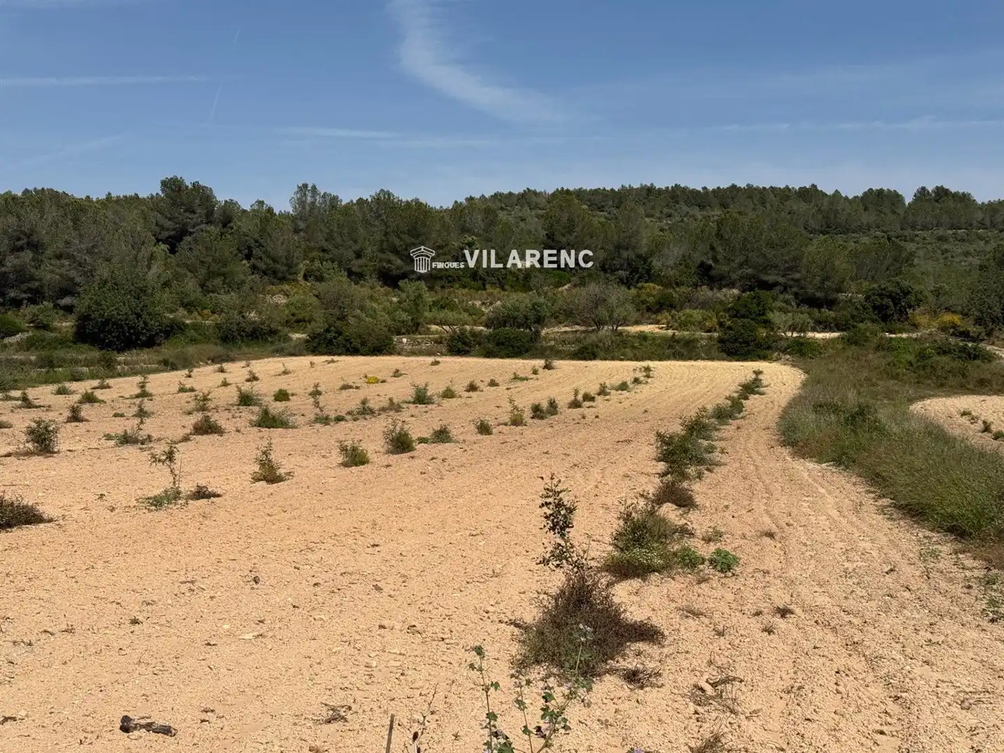 Rural land for sale in Massos de Vespella, imagen 12