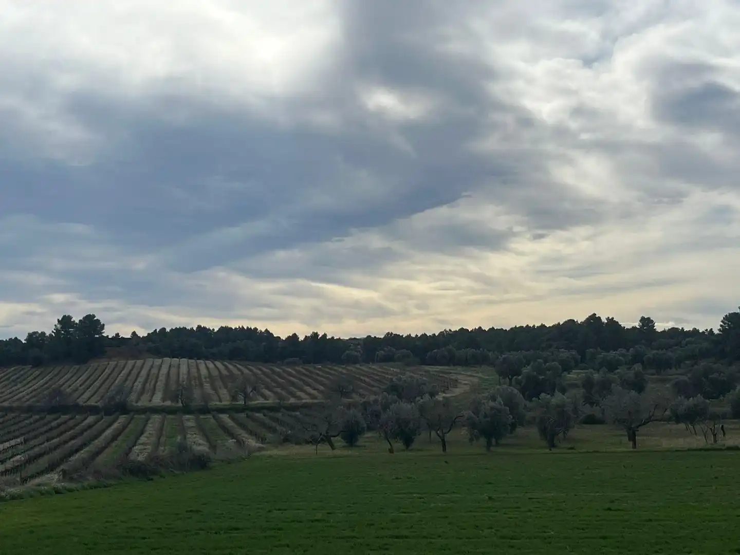 Terreni e lotti in vendita a Calaceite, imagen 5