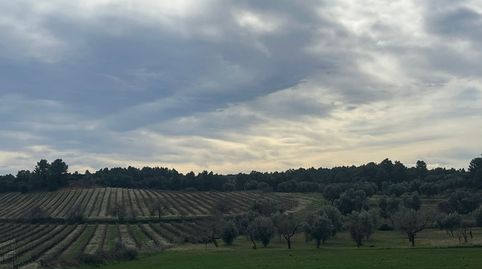 Finca rústica con maset en Calaceite, immagine 5