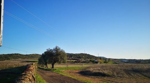 Photo 3 of Residential for sale in Polígono 49, Olivenza, Badajoz