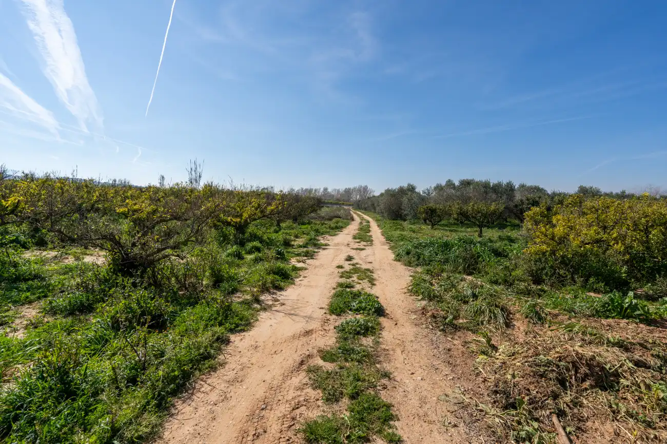 Rural land for sale in Vinallop, imagen 13