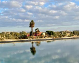 Außenansicht von Grundstücke zum verkauf in Turre