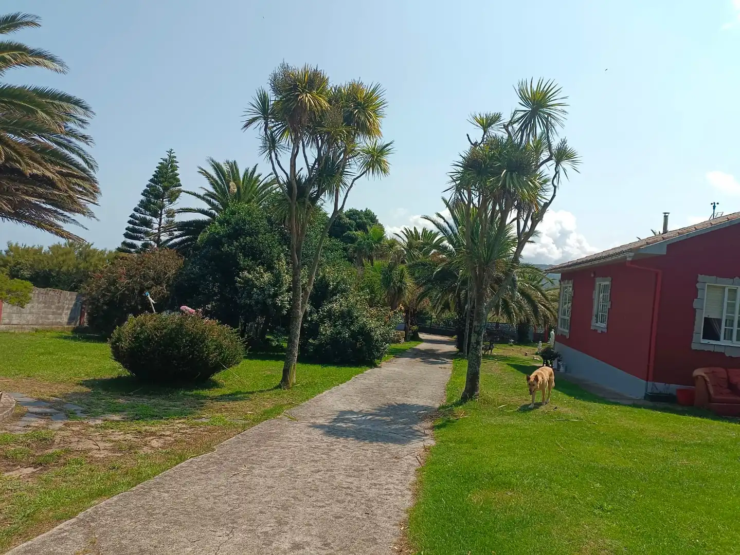 Jardí de Casa o xalet en venda en Ferrol amb Jardí privat, Terrassa i Traster