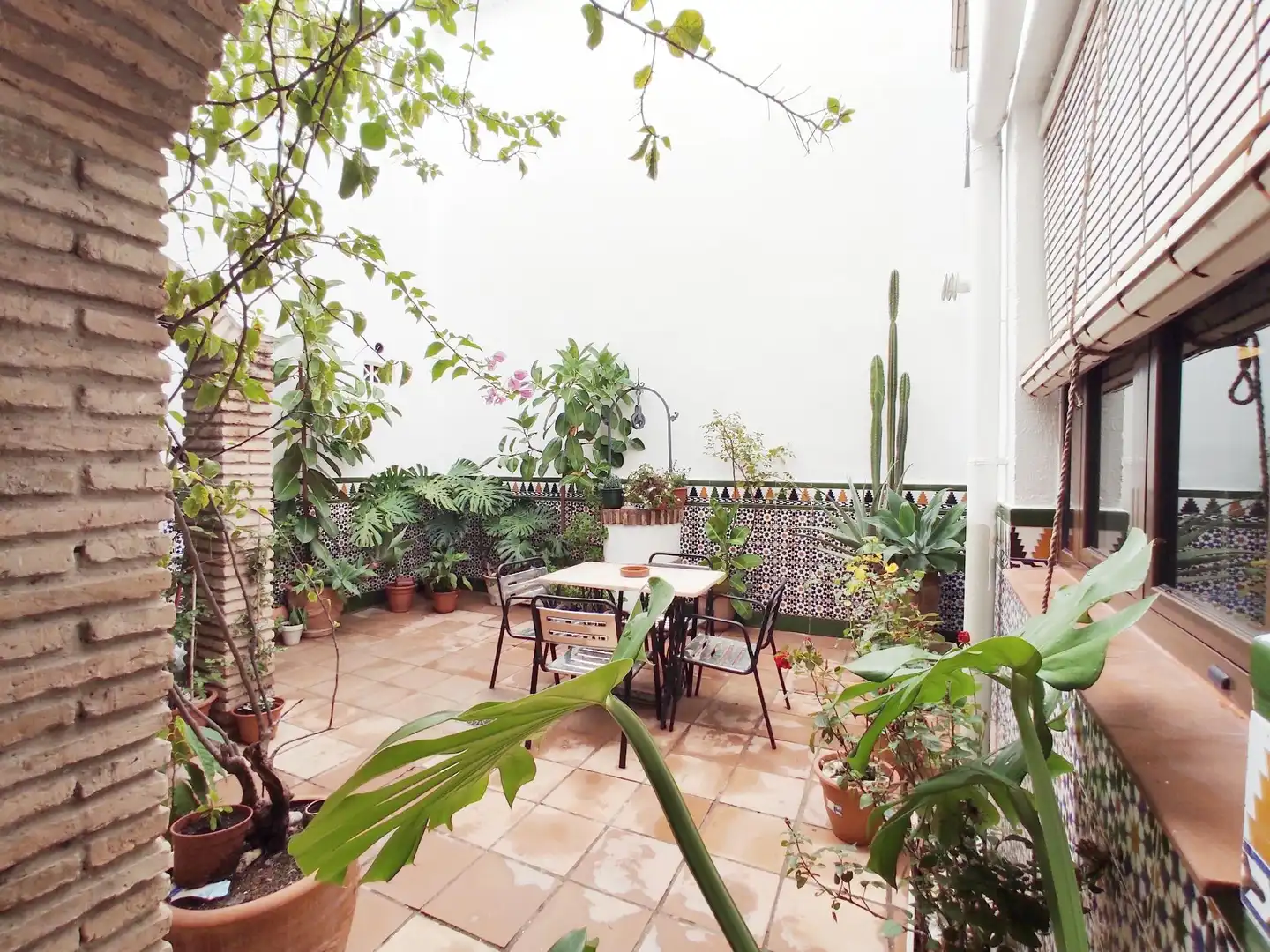 Casa amb terrassa en venda a Calle CARLOS ARRUZA 1, imagen 11