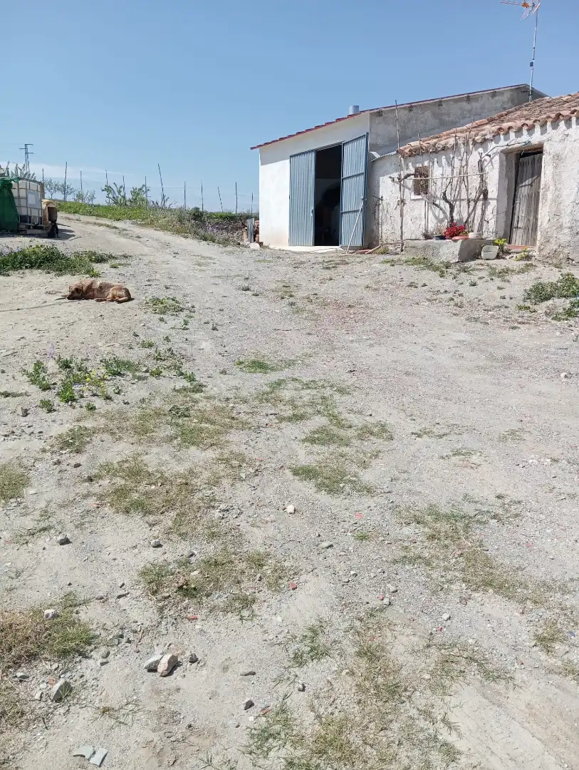 Terreno rustico in vendita a Diseminado Nogalte 63, imagen 5
