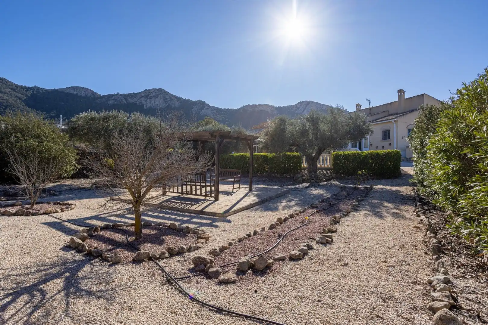 Casa con piscina en venta en Jumilla, imagen 3