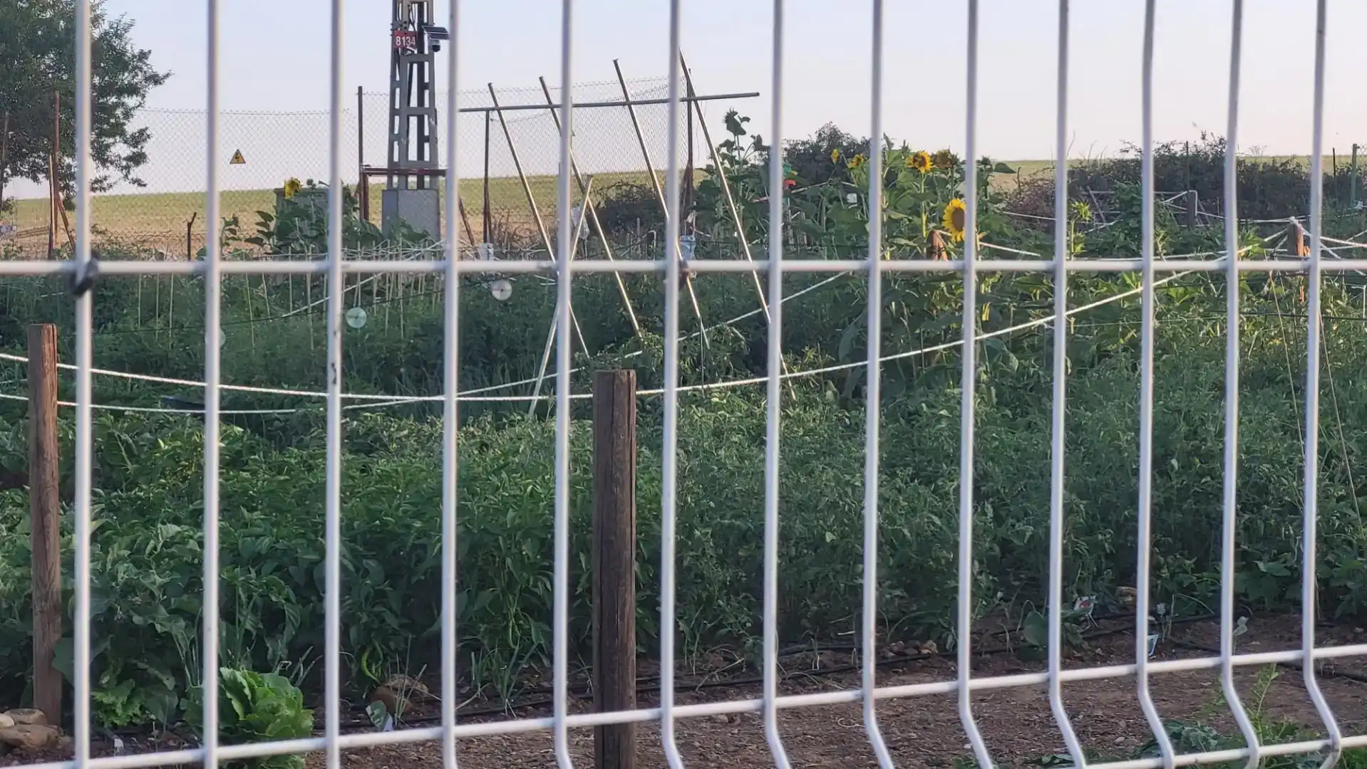 Finca rústica en venda en Daganzo de Arriba, Madrid