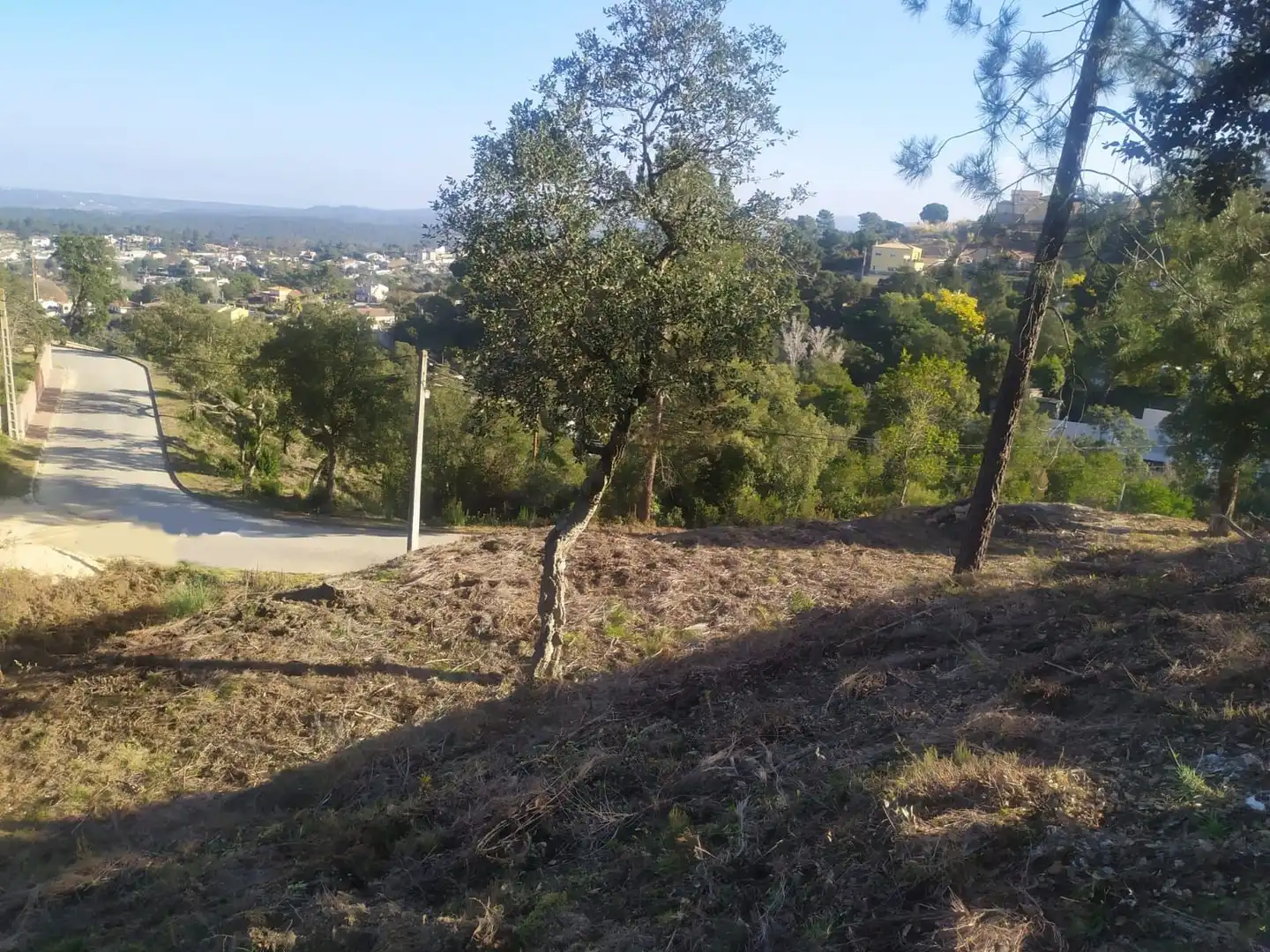 Wohnbaugrundstück zum Verkauf in Montbarbat, imagen 3