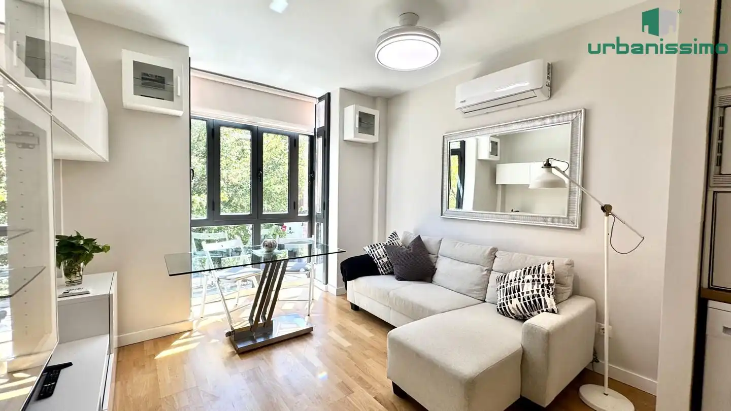 Sala d'estar de Apartament de lloguer en Madrid amb Aire condicionat, Traster i Moblat
