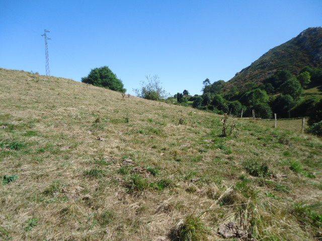 Terreno residencial en Venta en La Vita en Parres