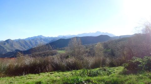 PARCELAS A 10 MIN. DE CANGAS DE ONÍS, immagine 3