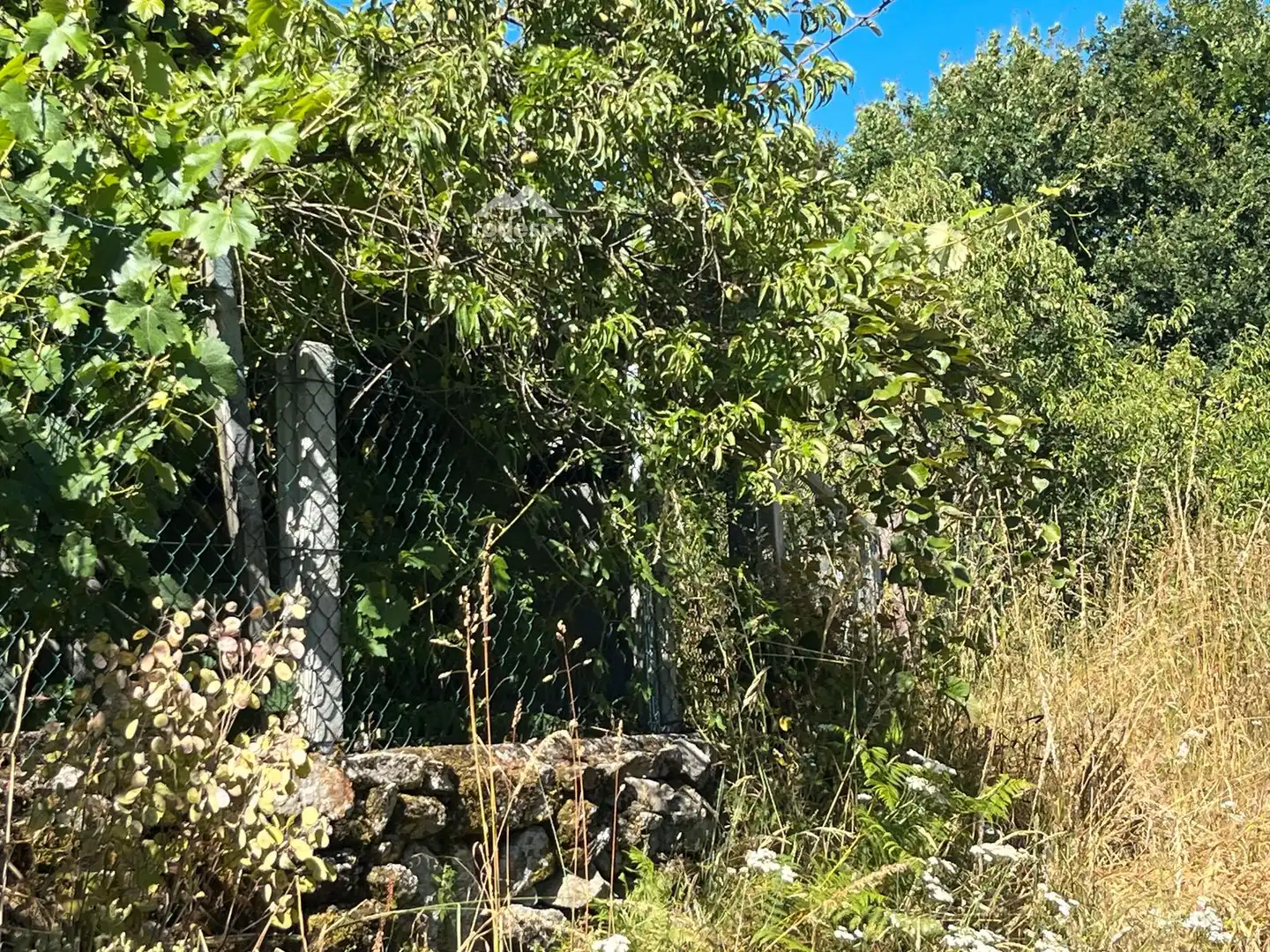 Casa o chalet en venta en Piñor con Trastero y Amueblado