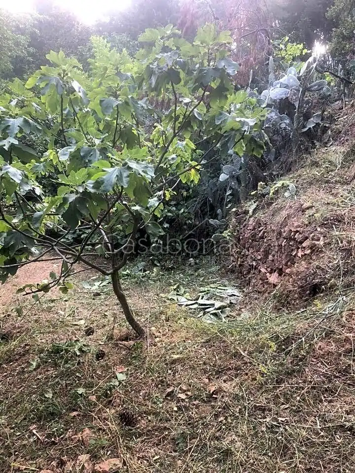 Finca rústica en venta en Arbúcies con Jardín privado, Terraza y Amueblado