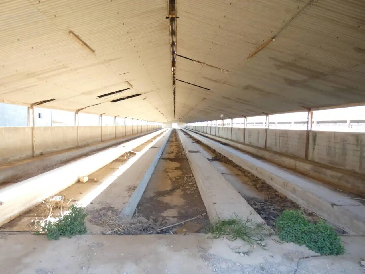 Industrial building for sale in Calle PARTIDA COLLET, POLIGONO 13, imagen 5