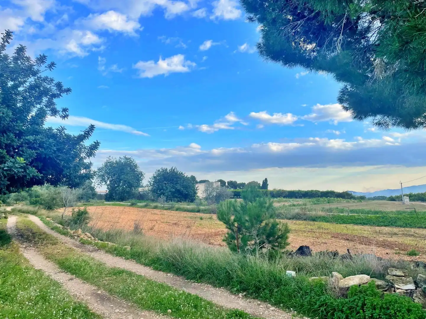 Casa o chalet en venta en Tortosa