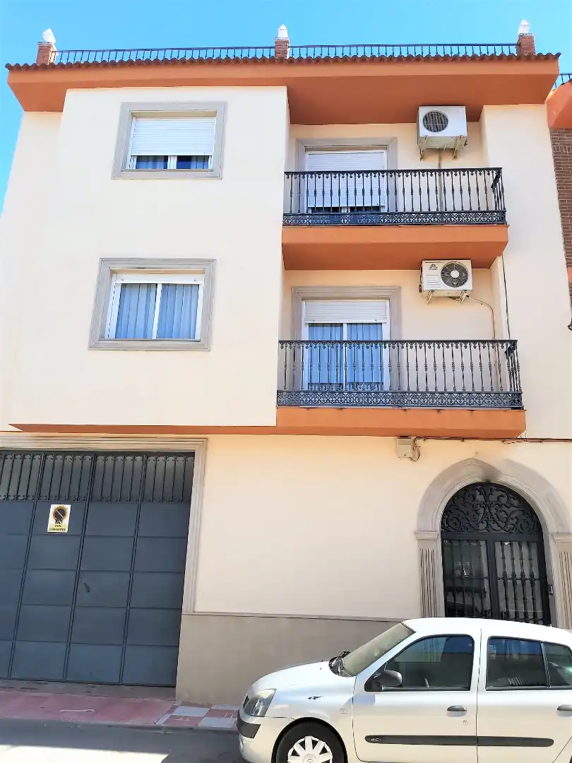 Inmuebles singulares en venta en Calle Gran Capitán