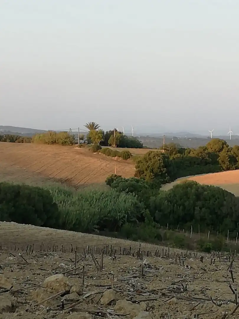 Casa rústica en venda a Vejer, imagen 14